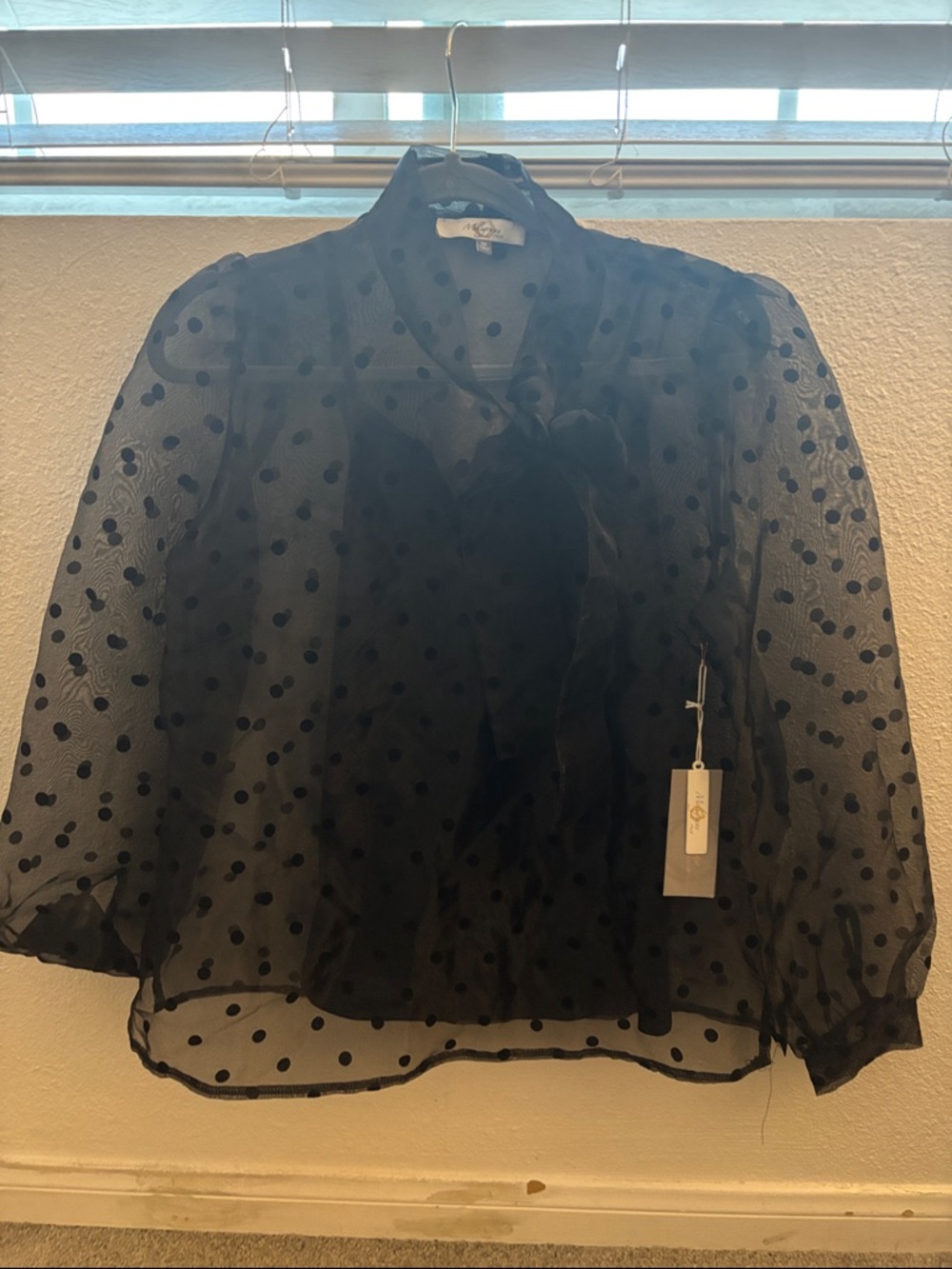 Sheer Black Polka Dot Bow Blouse